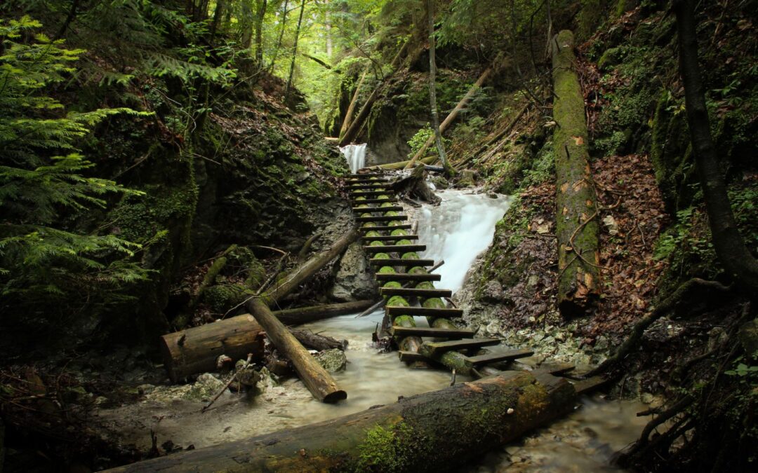 SŁOWACKI RAJ NA DWUDNIOWY WYPAD