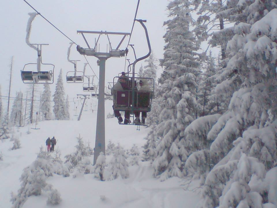 1234619_729752560383838_717387188_n